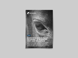 Europe's Horse Meat Scandal was a Warning for Due Diligence and Lessons Learned FREE eBook