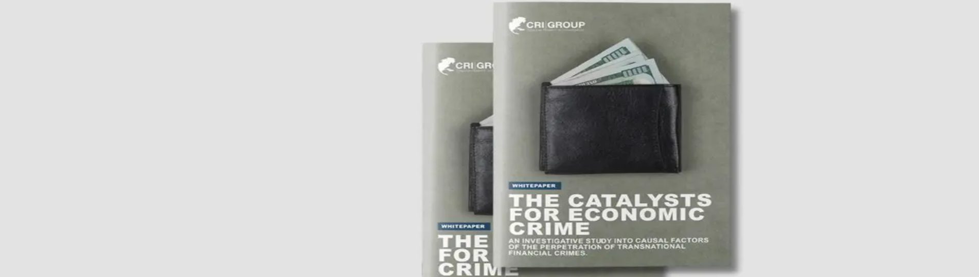 The causal factors of financial crimes - A Case Study by CRI Group