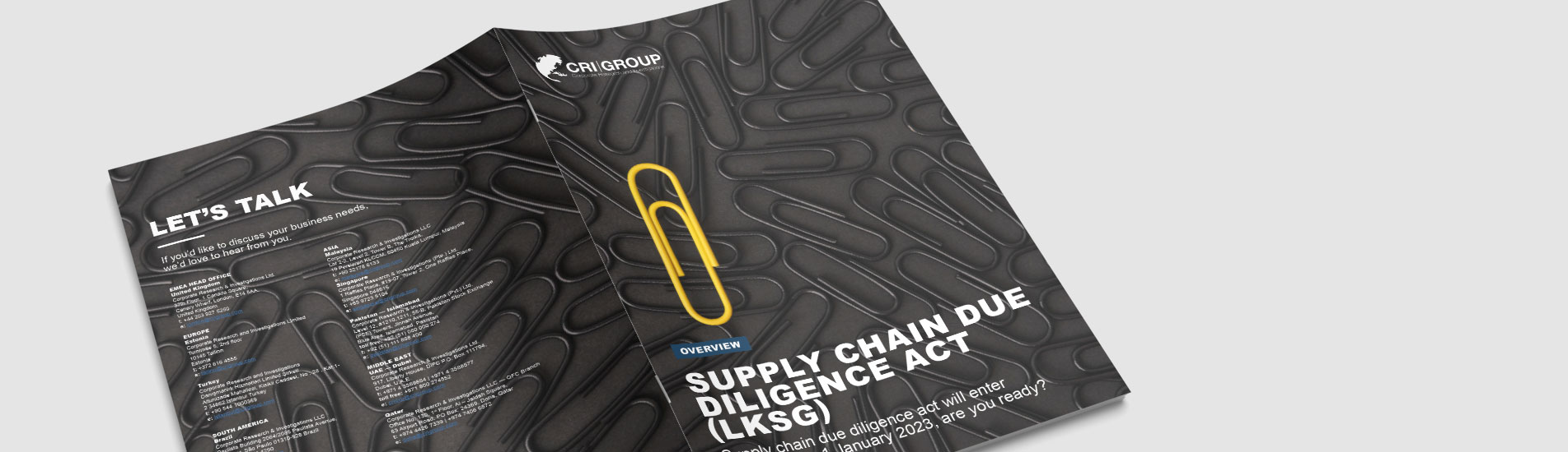 FREE eBook | Supply Chain Due Diligence Act (LkSG)