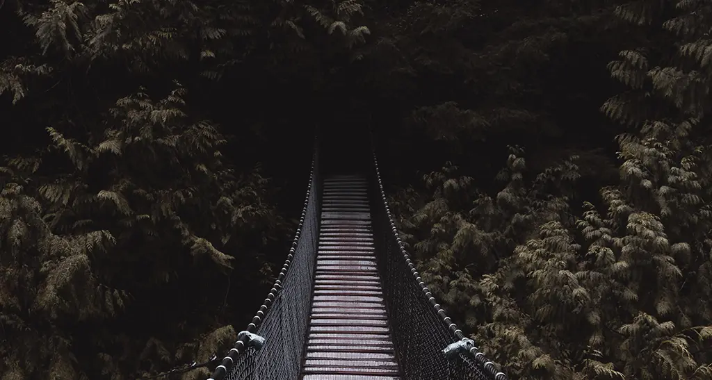 risk
